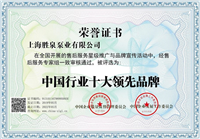中国行业十大领先品牌